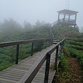 DSCF0535.JPG