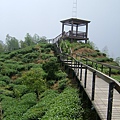 DSCF0544.JPG