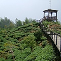 DSCF0545.JPG