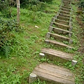 DSCF0548.JPG