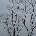 DSCF0581.JPG