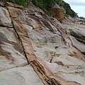 DSCF1320.JPG