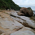 DSCF1323.JPG