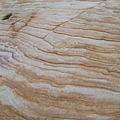 DSCF1340.JPG