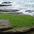 DSCF1345.JPG