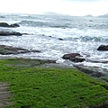 DSCF1350.JPG