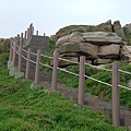 DSCF1376.JPG