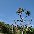 DSCF1403.JPG