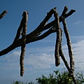 DSCF1405.JPG