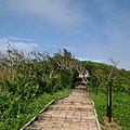 DSCF1422.JPG