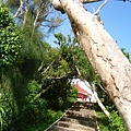 DSCF1432.JPG
