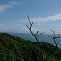 DSCF1486.JPG