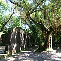 DSCF1509.JPG