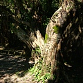 DSCF1514.JPG