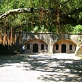 DSCF1516.JPG
