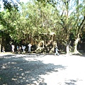 P1060358.JPG