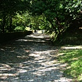 DSCF1500.JPG