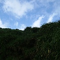 DSCF1351.JPG