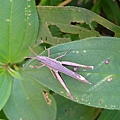 DSCF1492.JPG