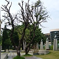DSCF1617.JPG