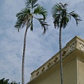 DSCF1650.JPG