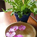 DSCF1656.JPG