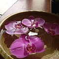 DSCF1658.JPG