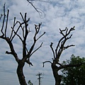 DSCF1671.JPG