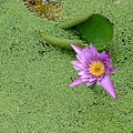 DSCF1748.JPG
