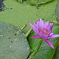 DSCF1752.JPG