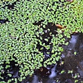 DSCF1753.JPG