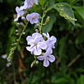 DSCF1761.JPG