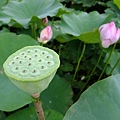 DSCF1773.JPG