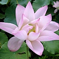 DSCF1777.JPG