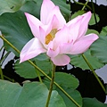 DSCF1781.JPG
