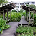 DSCF1787.JPG