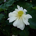 DSCF1788.JPG