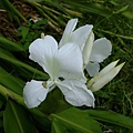 DSCF1820.JPG