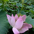DSCF1829.JPG