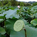 DSCF1832.JPG