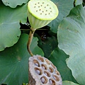 DSCF1835.JPG
