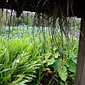 DSCF1839.JPG
