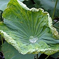 DSCF1840.JPG