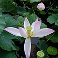 DSCF1842.JPG