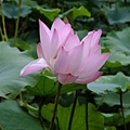 DSCF1847.JPG