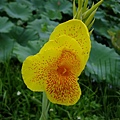 DSCF1858.JPG