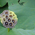 DSCF1860.JPG