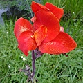DSCF1864.JPG