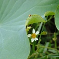 DSCF1876.JPG