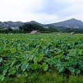 DSCF1887.JPG